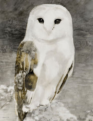 SDS1006 - Snowy Owl 1 - 12x16