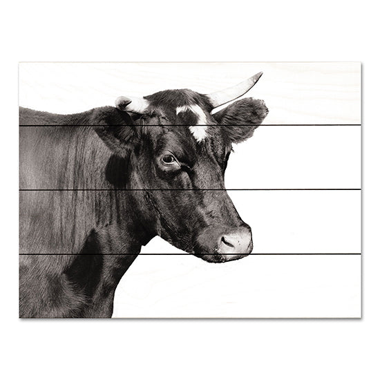 Stellar Design Studio SDS1027PAL - SDS1027PAL - Bessie - 16x12 Cow, Farm Animal, Black & White from Penny Lane
