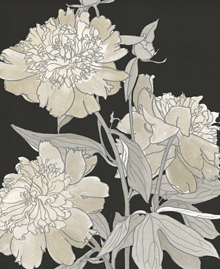 Stellar Design Studio SDS1163 - SDS1163 - Neutral Blooms 1 - 12x16 Flowers, White Flowers, Blooms, Black & White, Contemporary, Botanical from Penny Lane