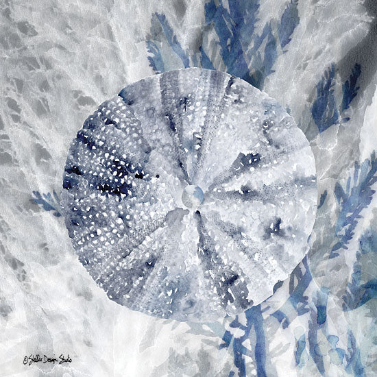 Stellar Design Studio SDS118 - SDS118 - Ocean Collection 2 - 12x12 Abstract, Sand Dollar, Modern from Penny Lane