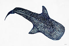 SDS1278 - Shark Whale 1 - 18x12