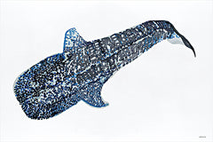 SDS1279 - Shark Whale 2 - 18x12