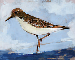 SDS1332 - Sandpiper 2 - 16x12