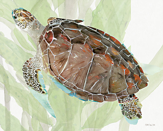 Stellar Design Studio SDS1334 - SDS1334 - Squirtle the Sea Turtle - 16x12 Coastal, Turtle, Sea Turtle, Reef, Greenery from Penny Lane