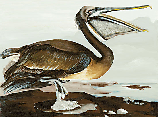 Stellar Design Studio SDS1437 - SDS1437 - Pelican by the Bay - 16x12 Coastal, Tropical, Pelican, Brown Pelican, Bay, Landscape from Penny Lane