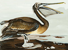 SDS1437 - Pelican by the Bay - 16x12