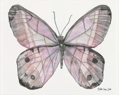 SDS163 - Butterfly 5 - 16x12