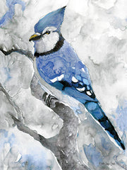 SDS172 - Blue Jay 2 - 12x16