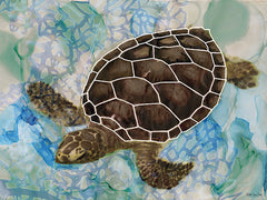 SDS300 - Sea Turtle Collage 2 - 16x12