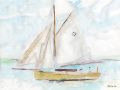 SDS310 - Sailing 2 - 16x12
