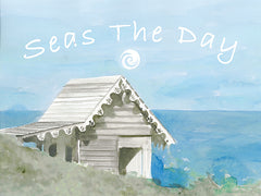 SDS313 - Seas the Day - 16x12