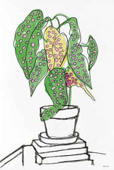 SDS439 - House Plant Study II - 12x18