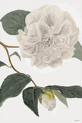 SDS447 - White Botanical II - 12x18