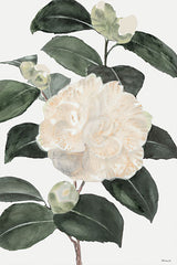 SDS448 - White Botanical III - 12x18