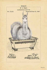 SDS455 - Llama in Tub - 12x18