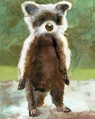 SDS484 - Baby Racoon - 12x16