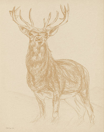 Stellar Design Studio SDS858 - SDS858 - Buck Sketch - 12x16 Deer, Male Deer, Buck, Sketch, Neutral Palette, Lodge from Penny Lane