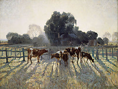 SDS946 - Grazing Cows - 16x12