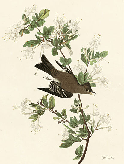 Stellar Design Studio SDS953 - SDS953 - Vintage Bird 1 - 12x16 Birds, Blossoms, White Blossoms, Tree Branch, Greenery, Old Fashioned, Vintage, Traditional from Penny Lane