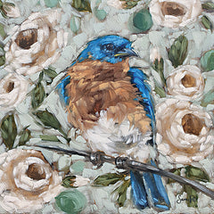 SGD137 - Rose Garden Bluebird - 12x12