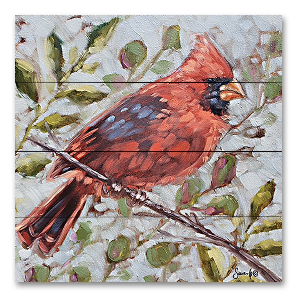 Sara G. Designs SGD149PAL - SGD149PAL - Cardinal in the Morning - 12x12  from Penny Lane