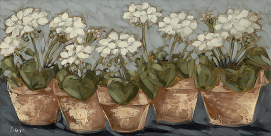 Sara G. Designs SGD178 - SGD178 - Sitting Pretty - 18x9 Still Life, Flowers, White Flowers, Clay Pots, Farmhouse/Country, Brush Strokes from Penny Lane