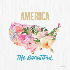ST1024LIC - America the Beautiful - 0