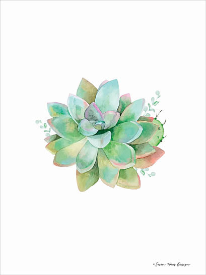 Seven Trees ST157 - Watercolor Succulent I - Succulents from Penny Lane Publishing