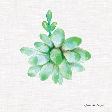 Seven Trees ST162 - Succulent Trio III - Succulents from Penny Lane Publishing