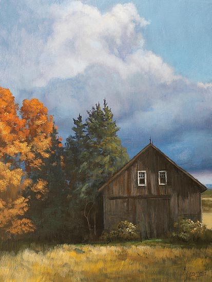 Tim Gagnon TGAR134 - TGAR134 - Autumn Barn - 12x16 Barn, Autumn, Trees, Farm, Clouds, Landscape from Penny Lane