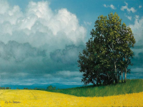 Tim Gagnon TGAR135 - TGAR135 - Canola Field - 16x12 Trees, Field, Landscape, Clouds from Penny Lane