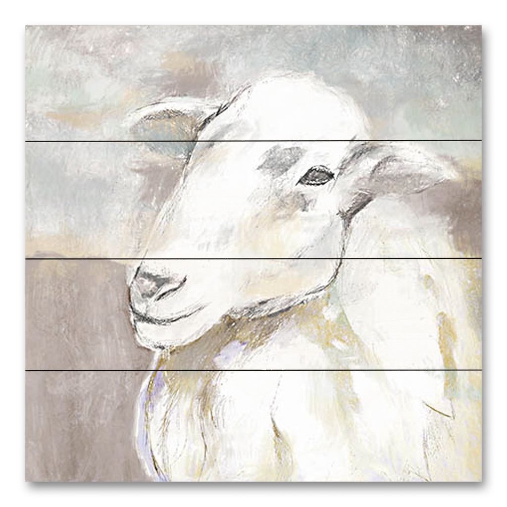 White Ladder WL159PAL - WL159PAL - Sheep Portrait - 12x12 Abstract, Sheep, Portrait from Penny Lane
