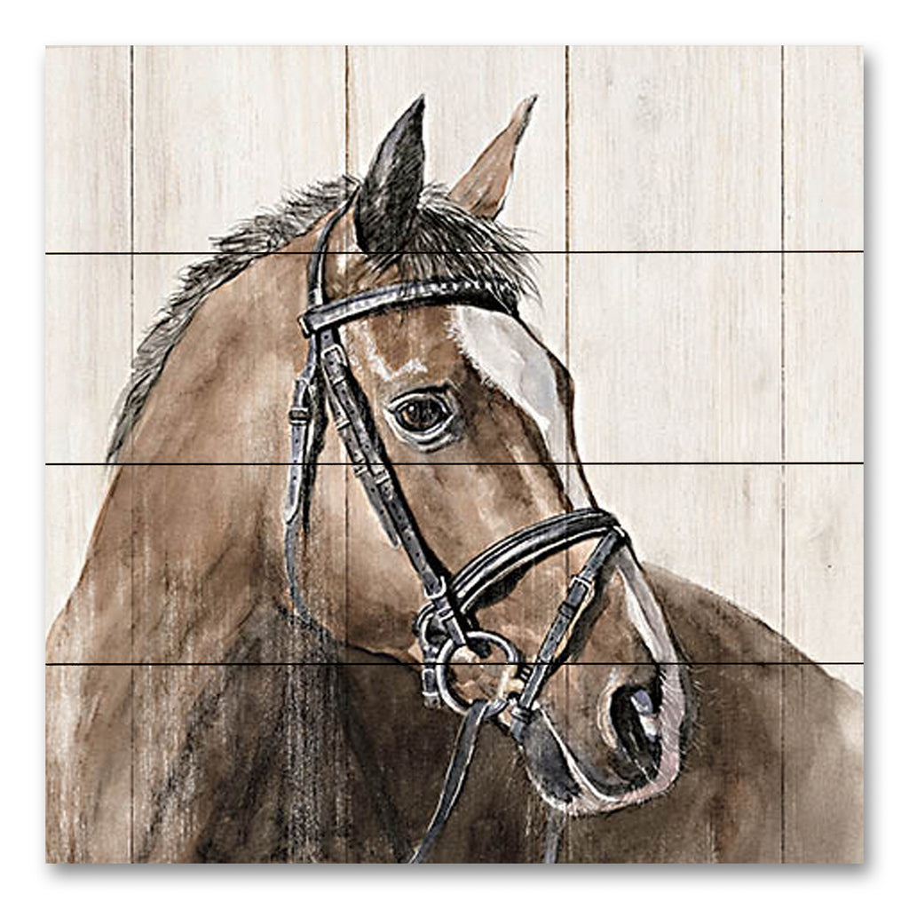 White Ladder WL171PAL - WL171PAL - Horse Portrait - 12x12 Horse, Portrait, Animals from Penny Lane