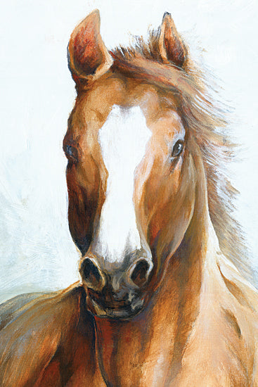 White Ladder WL185 - WL185 - Beauty of a Horse - 12x18 Horse, Brown Horse, Portrait, Animal from Penny Lane