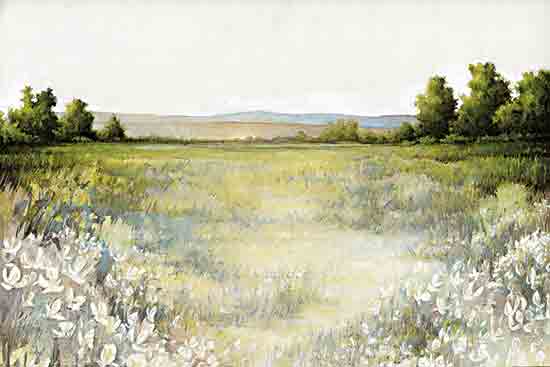 White Ladder WL254 - WL254 - Open View - 18x12 Landscape, Field, Trees, White Flowers, Wildflowers, Open View from Penny Lane