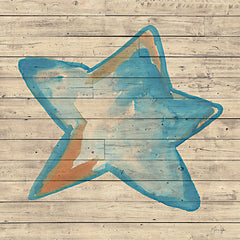 YND170 - A Starfish Wish - 12x12