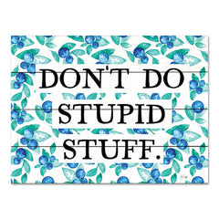 YND273PAL - Don't Do Stupid Stuff - 16x12