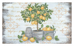 ALP1760 - Lemon Topiary