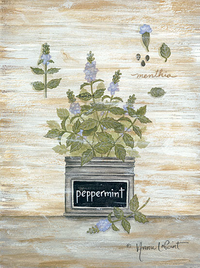 Annie LaPoint ALP1817 - Peppermint Botanical - 12x16 Herbs, Peppermint, Botanical, Country French, Shabby Chic from Penny Lane