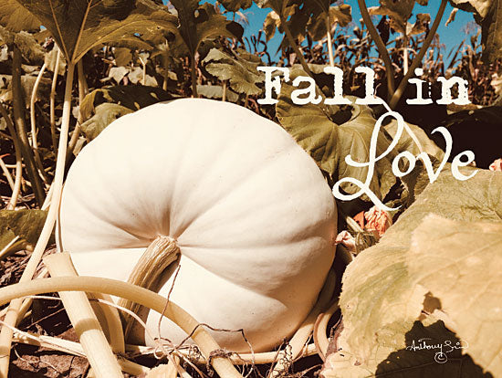 Anthony Smith ANT136 - Fall in Love Fall in Love, White Pumpkins, Harvest, Pumpkin Patch, Farm from Penny Lane