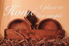 ANT143 - Home a Place to Live Simple - 18x12