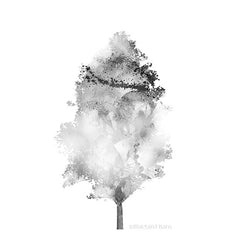 BLUE113 - Modern Mountain Aspen Tree - 12x12