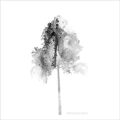 BLUE114 - Modern Mountain Tulip Tree - 12x12