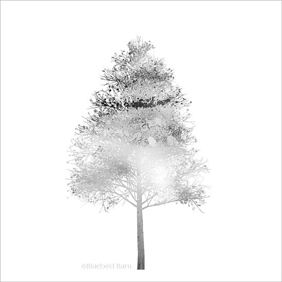 Bluebird Barn BLUE115 - Modern Mountain Birch Tree - 12x12 Birch Tree, Trees, Black & White, Filter from Penny Lane