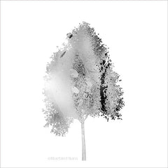 BLUE116 - Modern Mountain Maple Tree - 12x12