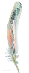 BLUE121 - Harmony Painterly Feather - 8x20