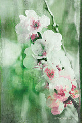 BLUE126 - Green and Pink Blossom Burst - 12x18