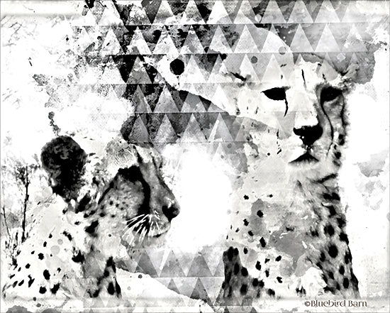 Bluebird Barn BLUE140 - BLUE140 - Modern Black & White Cheetahs    - 16x12 Abstract, Black & White, Patterns, Wildlife, Cheetah from Penny Lane