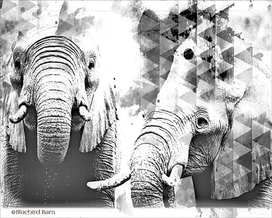 Bluebird Barn BLUE141 - BLUE141 - Modern Black & White Elephants    - 16x12 Abstract, Black & White, Patterns, Wildlife, Elephants from Penny Lane