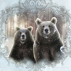 BLUE151 - Enchanted Winter Bears    - 12x12